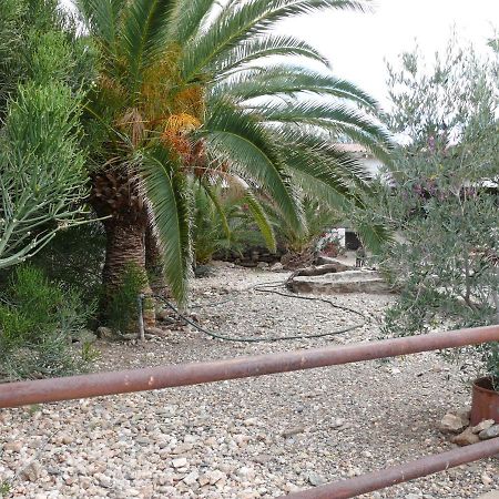 Rooiklip Camp Flintstone Lägenhet Exteriör bild